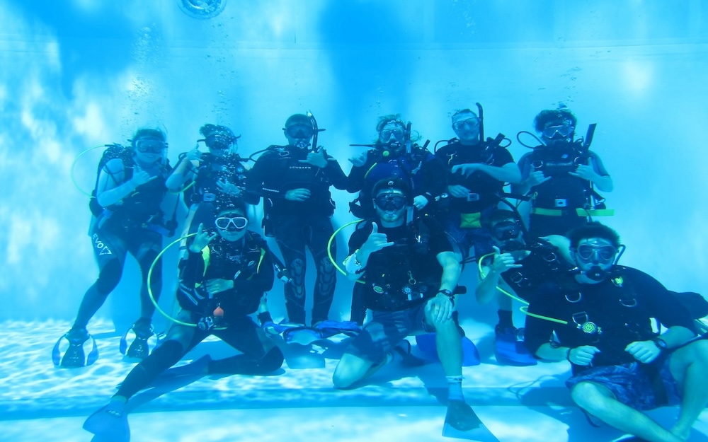 FSU Diving Scholarships